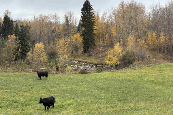 Nw 18-49-5 W5m, Rural Brazeau County, AB, photo 3