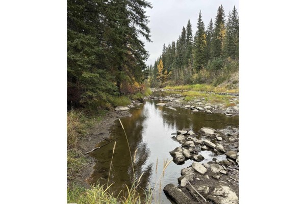 Nw 18-49-5 W5m, Rural Brazeau County, AB T0C1W0 Photo 4