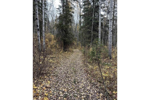 Nw 18-49-5 W5m, Rural Brazeau County, AB T0C1W0 Photo 5