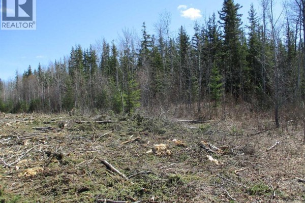 Nw-20-83-2-w6th, Rural Clear Hills County, AB T0H2L0 Photo 3