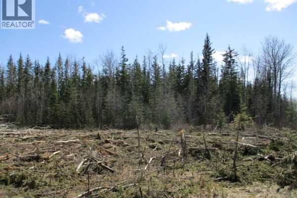 Nw-20-83-2-w6th, Rural Clear Hills County, AB T0H2L0 Photo 5