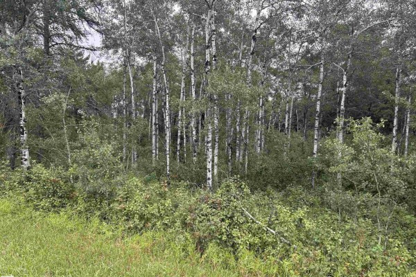 Nw-30-57-17-w4, Rural Lamont County, AB T0B0C0 Photo 5