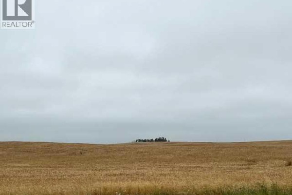 Nw 32-40-14 W4, Rural Flagstaff County, AB, photo 3