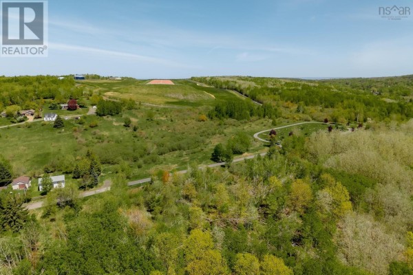 Overhead view of green landscape with a winding road and treed areas. - Oak Street, Trenton, Trenton