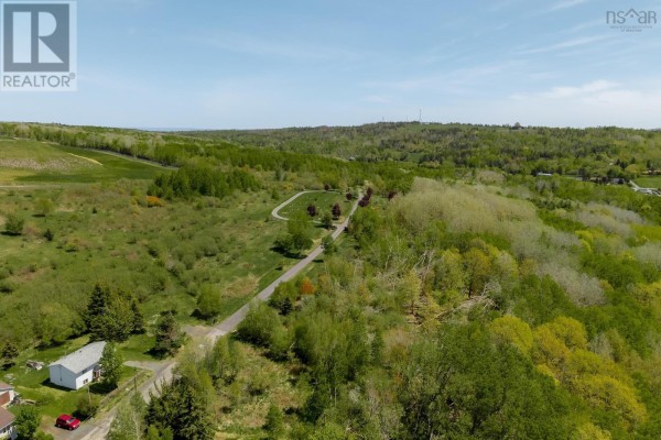 Drone view showcasing a rural landscape with a long driveway and trees. - Oak Street, Trenton, Trenton
