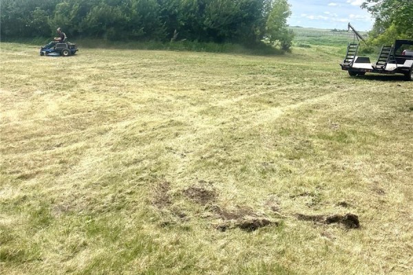 Oborowsky Acres, Battle River Rm No  438, SK, photo 3