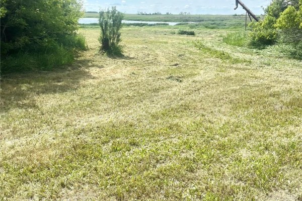 Oborowsky Acres, Battle River Rm No  438, SK S0M0E0 Photo 4
