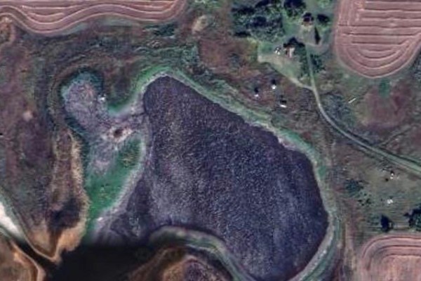 Oborowsky Acres, Battle River Rm No  438, SK S0M0E0 Photo 5