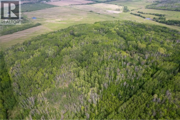 Off 206 Road, Dawson Creek, BC V0C2C0 Photo 3