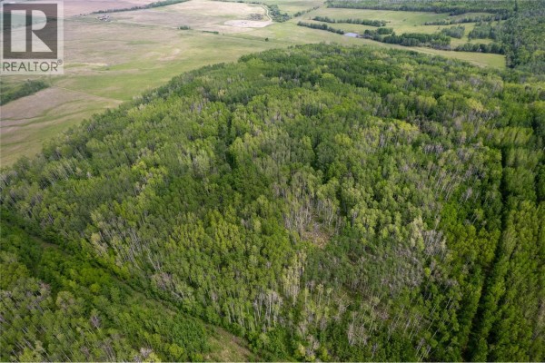 Off 206 Road, Dawson Creek, BC V0C2C0 Photo 4