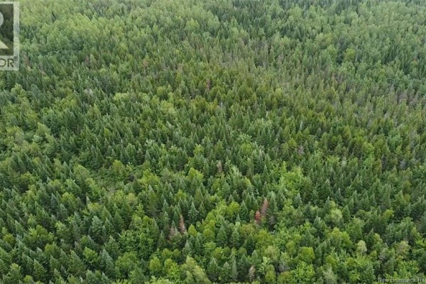 Off Drurys Cove Road, Ratter Corner, NB E4E3K9 Photo 2