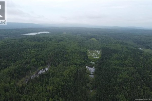 Off Drurys Cove Road, Ratter Corner, NB E4E3K9 Photo 3