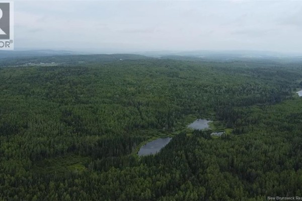 Off Drurys Cove Road, Ratter Corner, NB E4E3K9 Photo 4