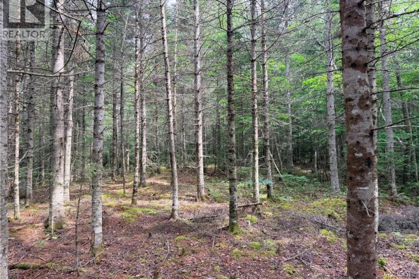Off Drurys Cove Road, Ratter Corner, NB E4E3K9 Photo 5