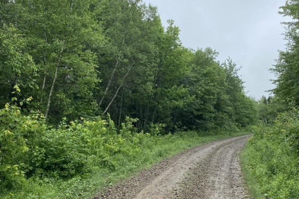 Old Halifax Road, Salt Springs, NS B0M1X0 Photo 2
