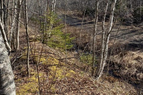 Old Halifax Road, Salt Springs, NS B0M1X0 Photo 3