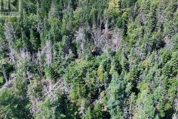 Old Louisbourg Road, New Boston Road, Albert Bridge, NS B1K2P7 Photo 2