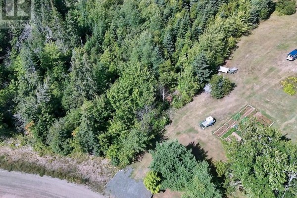 Old Louisbourg Road, New Boston Road, Albert Bridge, NS B1K2P7 Photo 4
