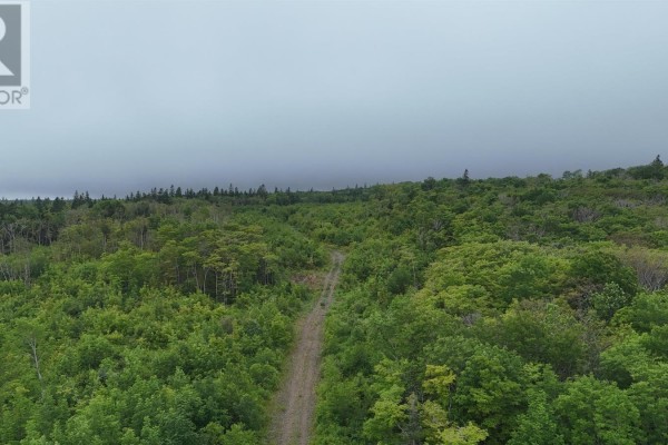 Road winding through trees with utility poles and a distant industrial view across water. - Old Mulgrave Road, Mulgrave