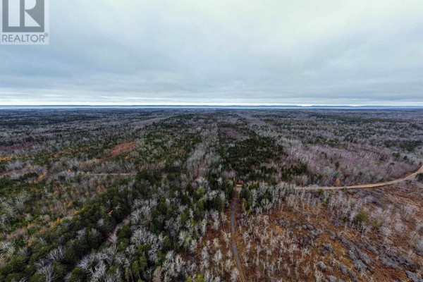Old North Range Road, Ashmore, NS B0W3T0 Photo 3