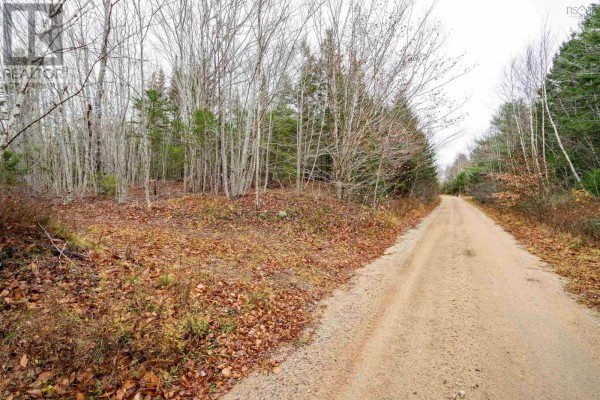 Old North Range Road, Ashmore, NS B0W3T0 Photo 4