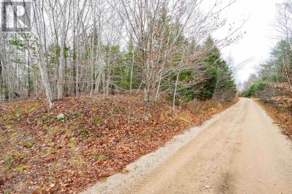 Old North Range Road, Ashmore, NS B0W3T0 Photo 5