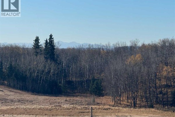 On 264 Avenue W, Rural Foothills County, AB T1S5H9 Photo 3