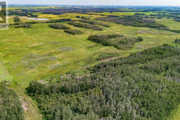 Expansive green fields and trees under a bright sky, showing rolling terrain. - On Range Rd 215, Rural Stettler No  6, County Of