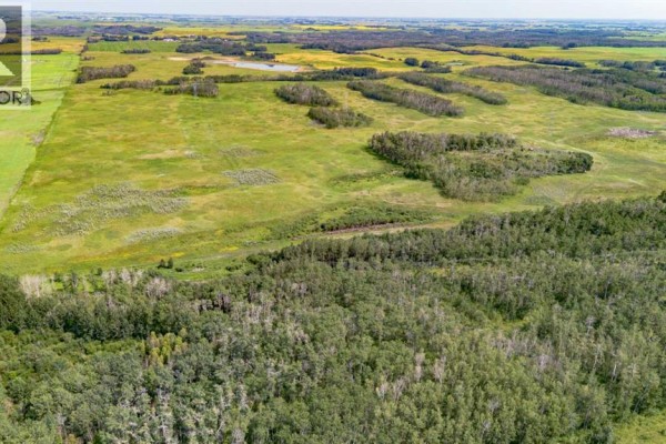 Overhead view of rolling green pastures dotted with clusters of trees. - On Range Rd 215, Rural Stettler No  6, County Of