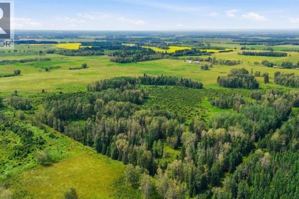 Drone shot of rolling green hills dotted with trees and distant yellow fields under a bright sky. - On Range Road 45, Rural Clearwater County