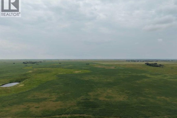 On Range Road 8-3, Rural Special Areas No  4, AB T0C2S0 Photo 3