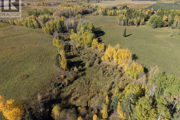 On Range Road 90/township Road 503, Rural Brazeau County, AB T7A2A3 Photo 3