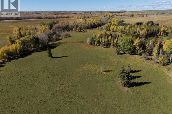 On Range Road 90/township Road 503, Rural Brazeau County, AB T7A2A3 Photo 4