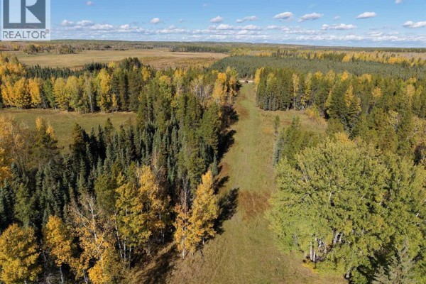 On Range Road 90/township Road 503, Rural Brazeau County, AB T7A2A3 Photo 5