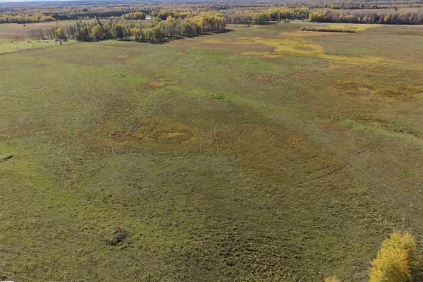 On Rr90 & Twp Rd 503, Rural Brazeau County, AB T7A2A3 Photo 2