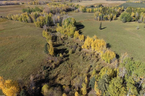 On Rr90 & Twp Rd 503, Rural Brazeau County, AB T7A2A3 Photo 3