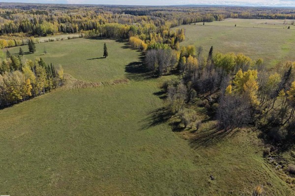 On Rr90 & Twp Rd 503, Rural Brazeau County, AB T7A2A3 Photo 4