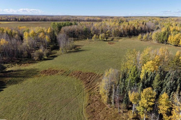 On Rr90 & Twp Rd 503, Rural Brazeau County, AB T7A2A3 Photo 5