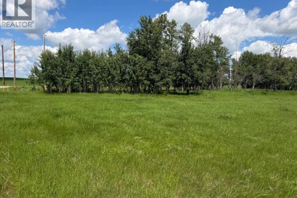 On Township Road 432, Rural Ponoka County, AB, photo 3