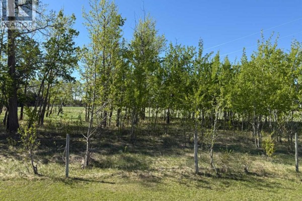 On Township Road 432, Rural Ponoka County, AB T4J1R2 Photo 4