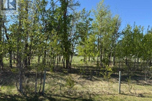 On Township Road 432, Rural Ponoka County, AB T4J1R2 Photo 5