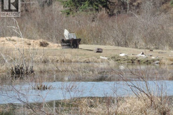 Distant view of tree line with soft focus and gray tones - On Twp 43, Hoadley