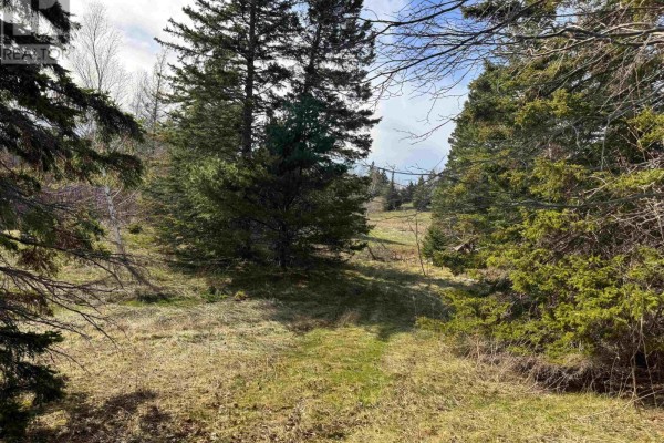 Orangedale-iona Road, West Alba, NS B0E3M0 Photo 2