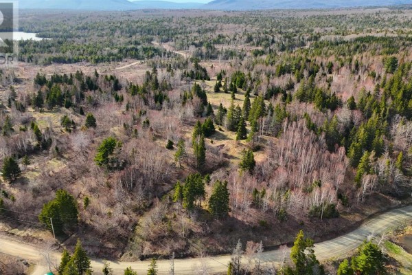 Orangedale-iona Road, West Alba, NS B0E3M0 Photo 3