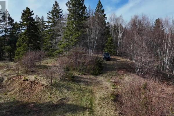 Orangedale-iona Road, West Alba, NS B0E3M0 Photo 5