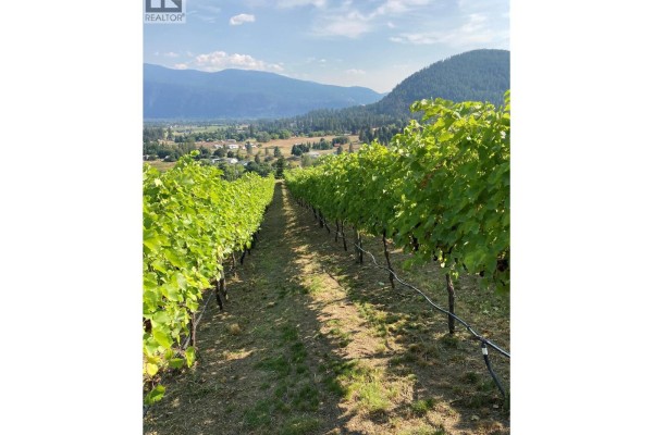 Panaroma Drive Lot# Lot B, Grand Forks, BC V0H1H2 Photo 2