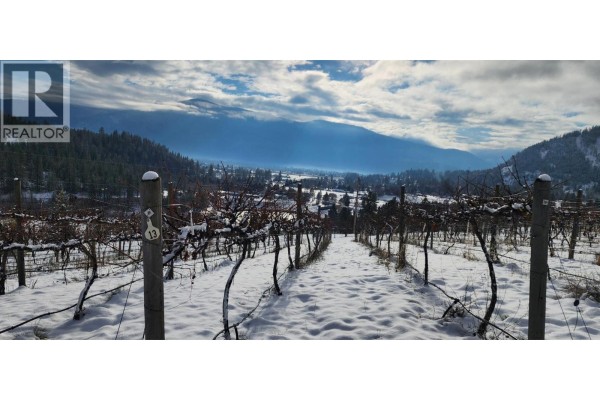 Panaroma Drive Lot# Lot B, Grand Forks, BC V0H1H2 Photo 3