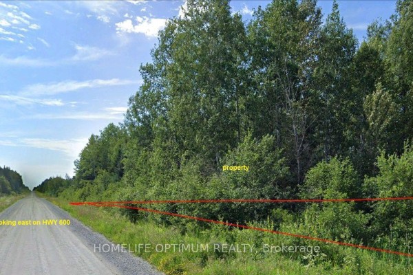 Parcel 17499 Highway 600 Highway N, Lake Of The Woods, ON P0W1M0 Photo 2