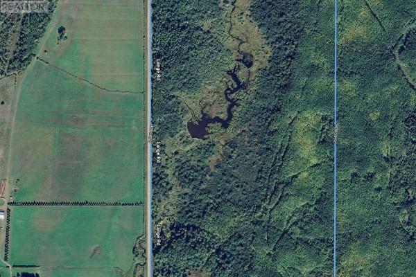 Parcel 17499 Highway 600 Highway N, Lake Of The Woods, ON P0W1M0 Photo 4