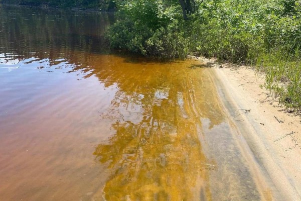Parcel 26057, Rainy River Remote Area, ON P0W1H0 Photo 4